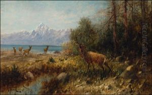Elk On Jackson Lake, Wyoming by John Fery