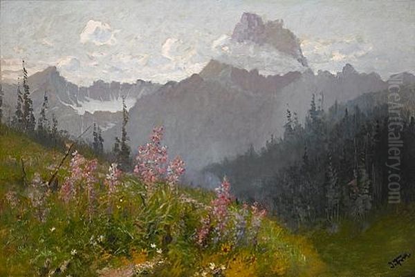 Mt. Wilbur, Glacier National Park - view 1
