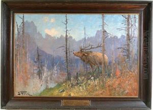 Bellowing Elk by John Fery