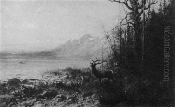 Deer By The Edge Of The River - view 1