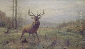 Elk In A Landscape
