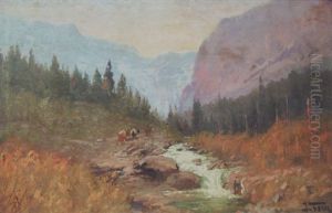 Trail To Cracker Lake