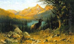 Glacier Elk by John Fery