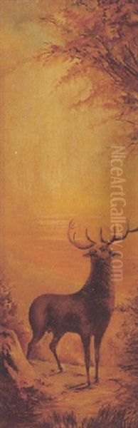 Elk On A Mountain Pass - view 1