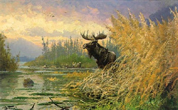 Moose In Landscape - view 1