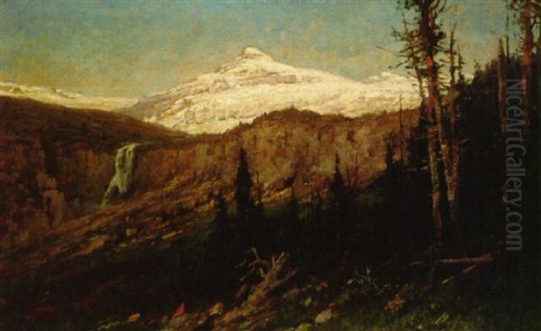 Blackfoot Glacier - view 1
