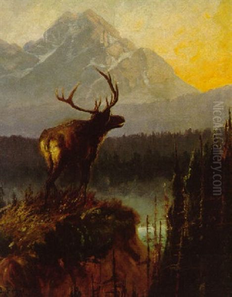 Elk In The Bitterroots - view 1