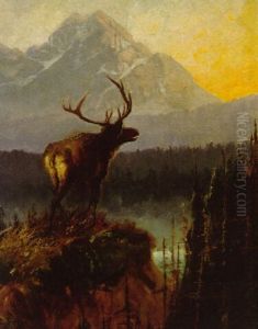 Elk In The Bitterroots