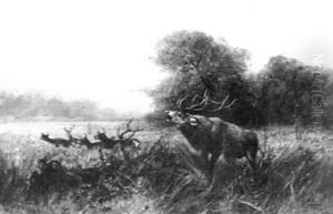 Elk Family Of Five In A Landscape With Distant Mountains by John Fery