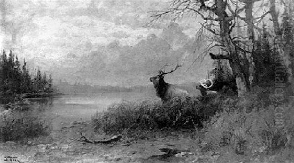 Two Elks In A Mountain Landscape - view 1