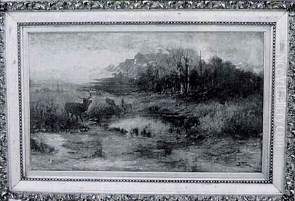 Untitled - view 1