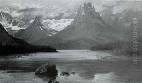 Deer In A Mountain Lake - view 1