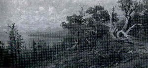 Mountain Lake Landscape
