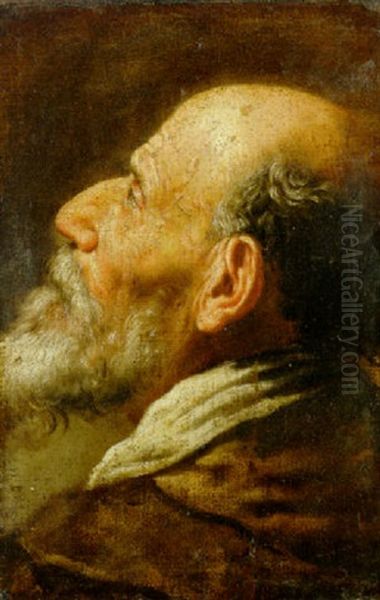 The Head Of A Bearded Man - view 1