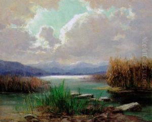 Wolkestimmung Am Chiemseeufer