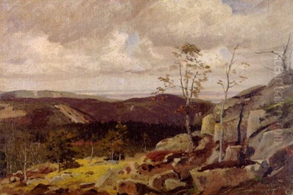 Blick Uber Eine Weite Hochgebirgslandschaft - view 1
