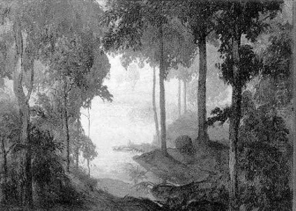 Foret Exotique - view 1