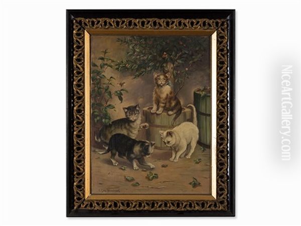 Four Cats - view 1