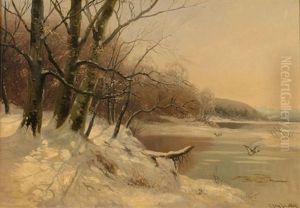 Winterliche Seenlandschaft Mit Fliegenden Wildenten