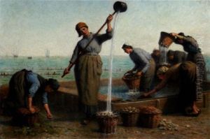 Le Nettoyage Des Huitres A Cancale