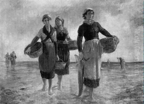 Muschelsucher Am Strand - view 1