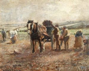 The Potato Field