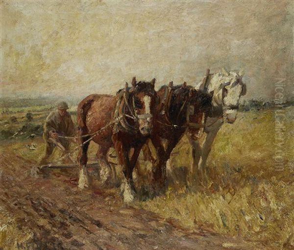 The Plough Team - view 1