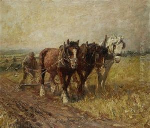 The Plough Team