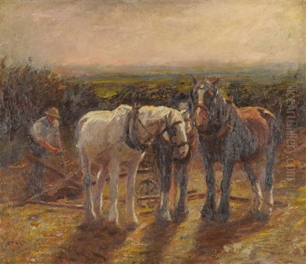 After Harvest - view 1