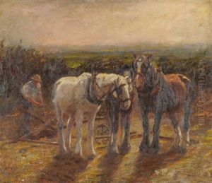 After Harvest