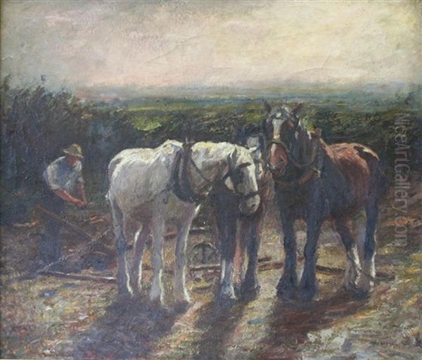 After Harvest - view 1