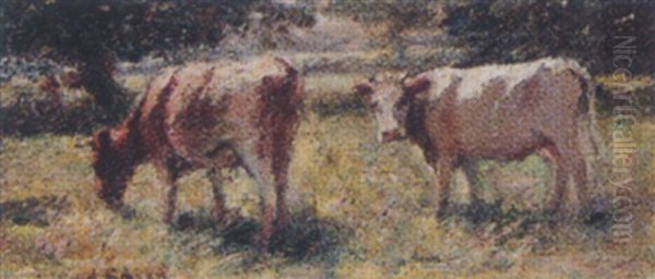 Untitled - Summer Pasture - view 1
