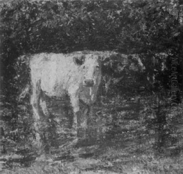 Down The Nadder (wiltshire) - view 1