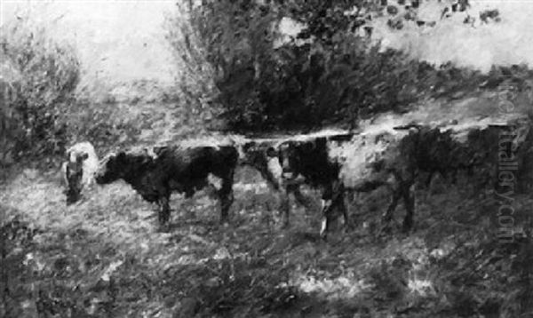 Cows In The Afternoon Sun - view 1