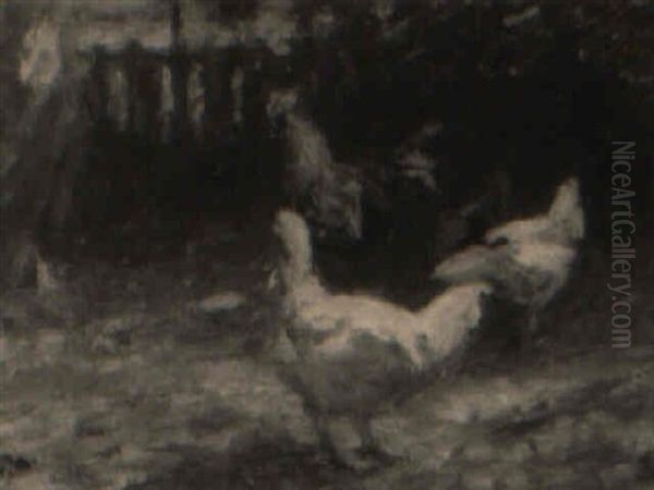 Poultry - view 1