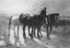 Plough Horses At Sunset by Harry Fidler