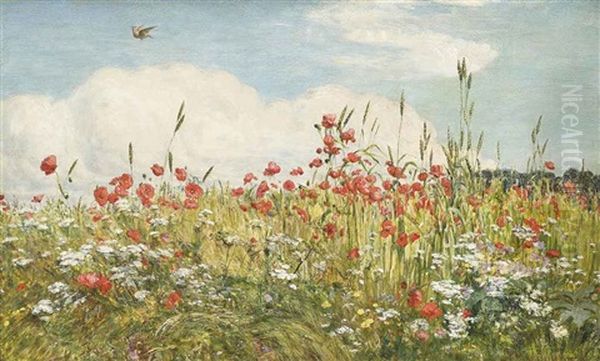 A Poppy Field - view 1