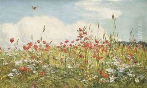 A Poppy Field by Walter Field