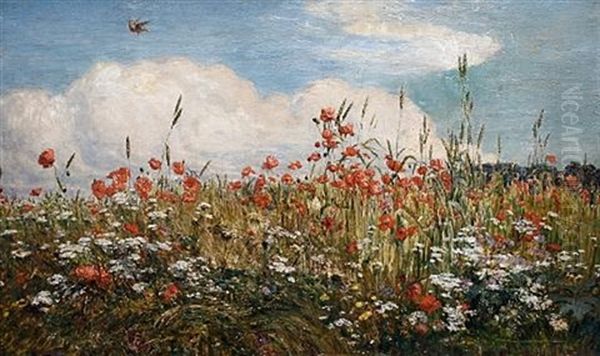Field Of Poppies - view 1