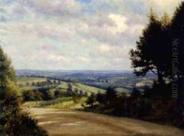 A Glimpse Of The Hills, South Downs, Sussex - view 1