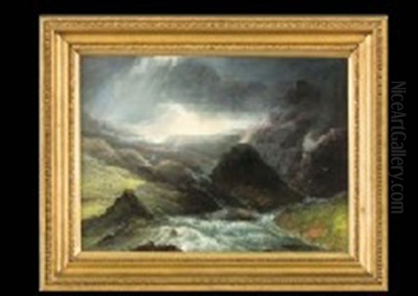Landscape - view 1