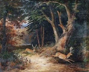 Daims Dans La Foret Daims Dans La Foret