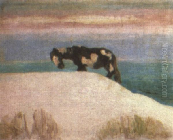 Caballo En Las Dunas - view 1
