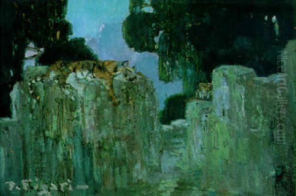Pumas - view 1