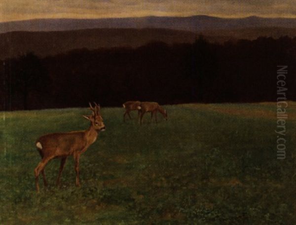 Rehe Auf Der Lichtung - view 1