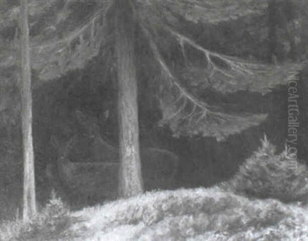 Rehe Im Wald - view 1