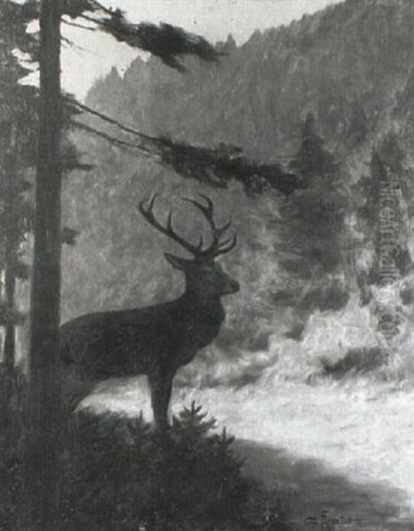 Hirsch, Am Rande Einer Sonnenuberfluteten Lichtung Stehend - view 1
