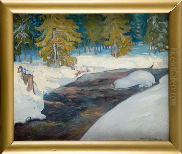 Winter In Zakopane - view 1