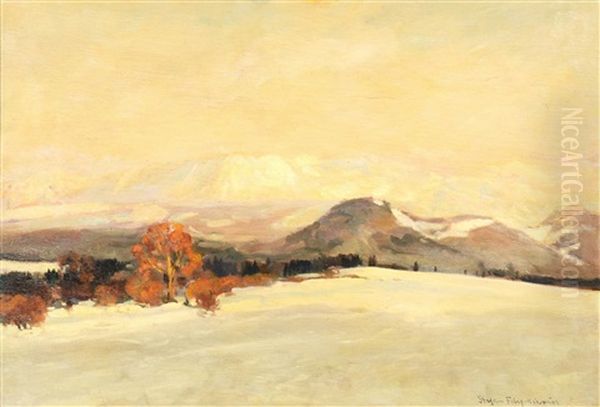 Zimni Krajina - view 1