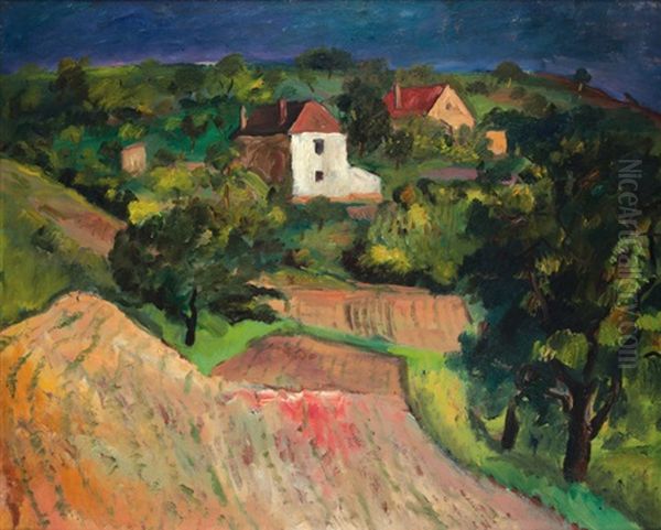 Krajina - view 1